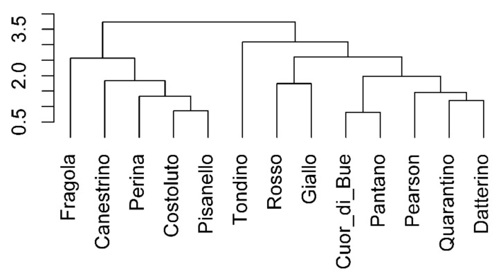 Figure 13