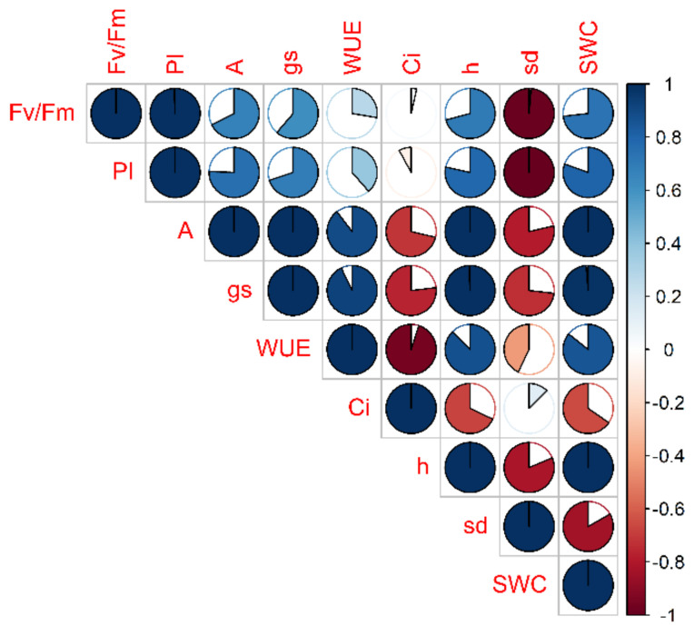 Figure 12