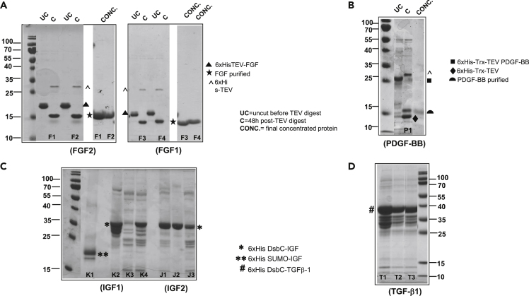 Figure 2