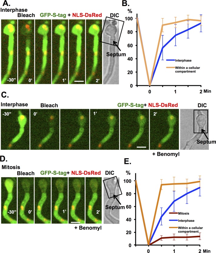 FIGURE 3: