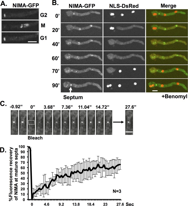 FIGURE 7: