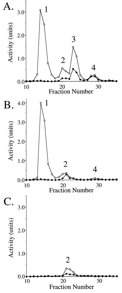 FIG. 6