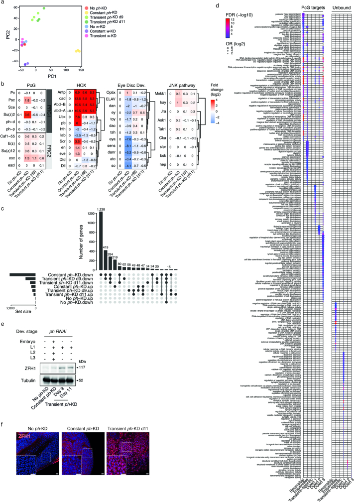 Extended Data Fig. 3