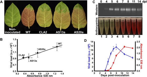 Figure 4.