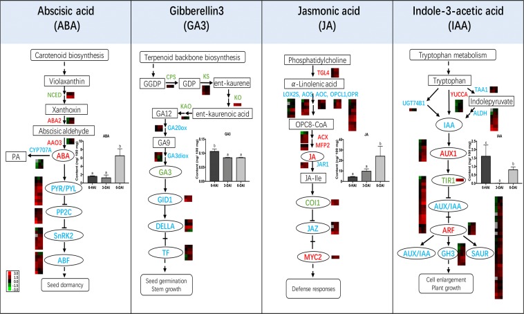 Figure 5