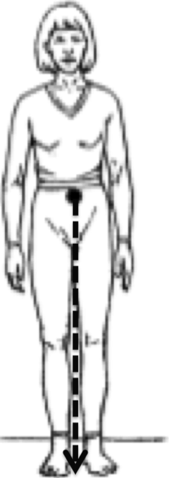 Fig. 5