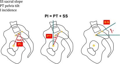 Fig. 10