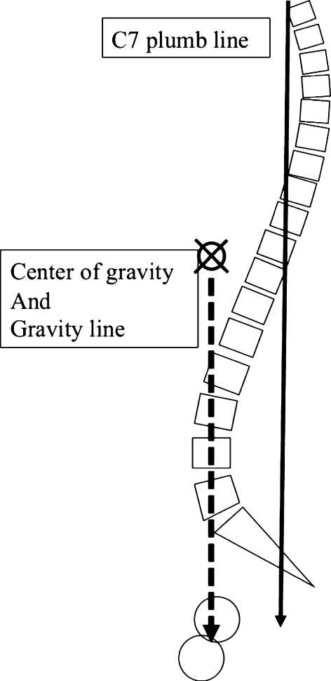 Fig. 6