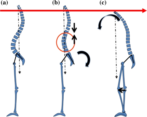 Fig. 9