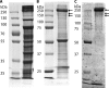 FIG 5
