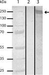 FIG 6