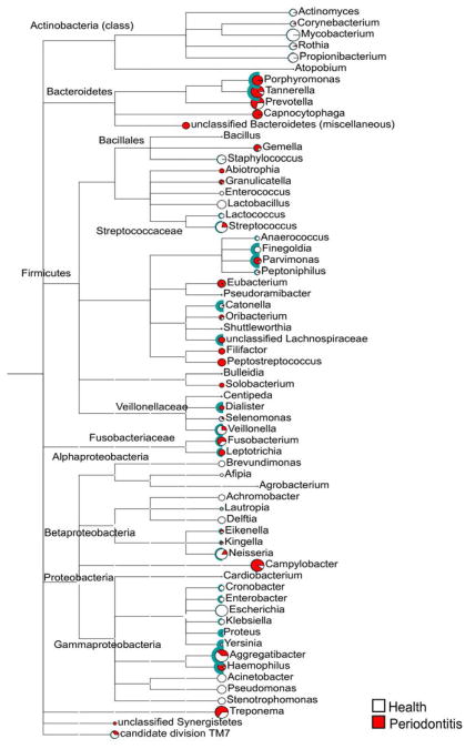 Fig. 21