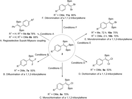 Scheme 5