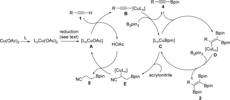 Scheme 4