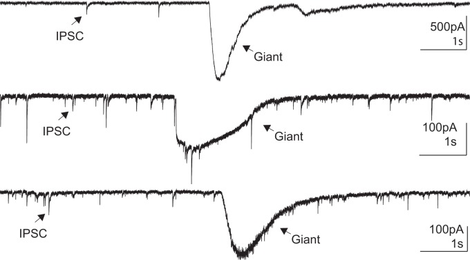 Fig. 7.