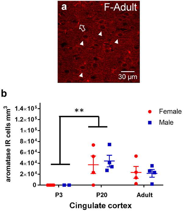 Figure 7: