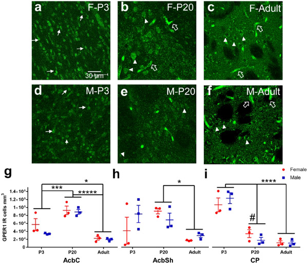 Figure 4: