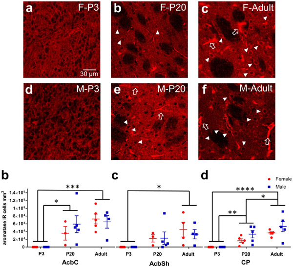 Figure 6: