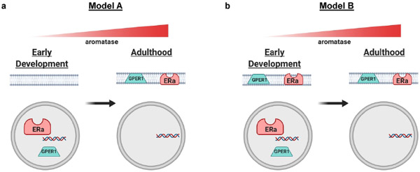 Figure 9: