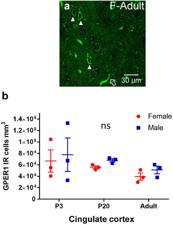 Figure 5: