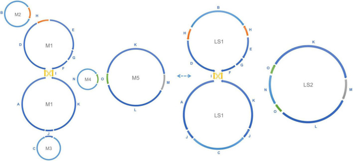 FIGURE 3