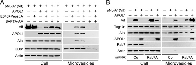 FIG 4