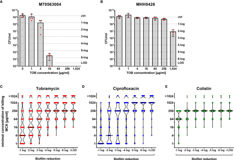 Figure 1