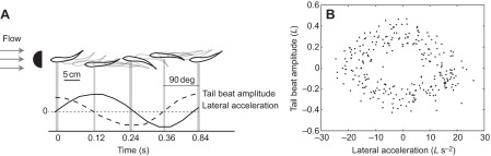 Fig. 6.