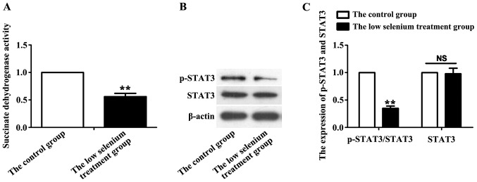 Figure. 1