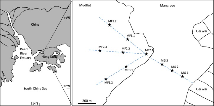 Figure 7