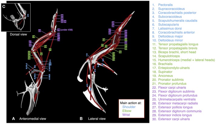 Figure 2