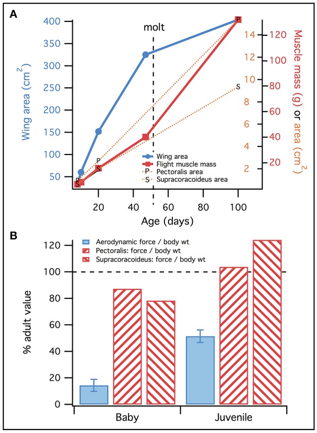 Figure 13