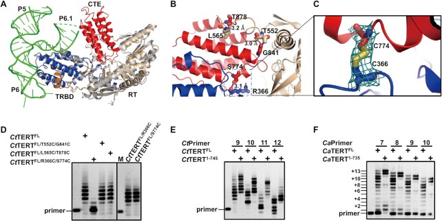 Figure 4.