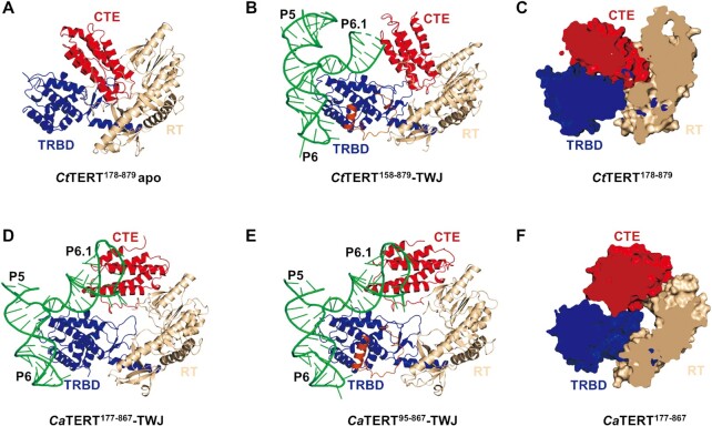 Figure 2.