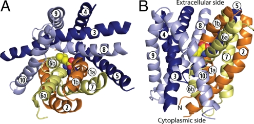 Fig. 1.