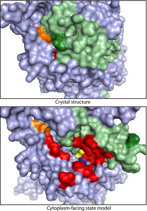 Fig. 6.