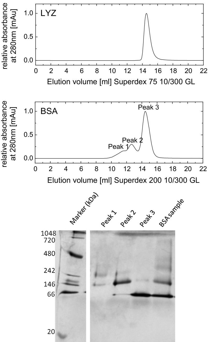 Fig. 2