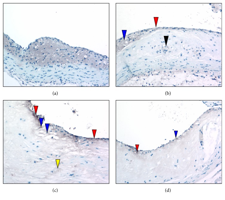 Figure 9