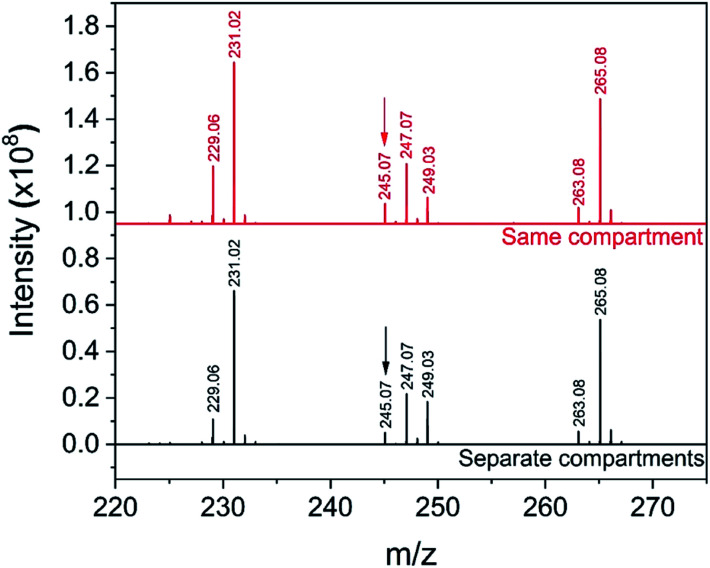 Fig. 8