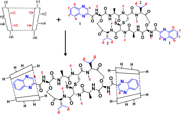 Fig. 4