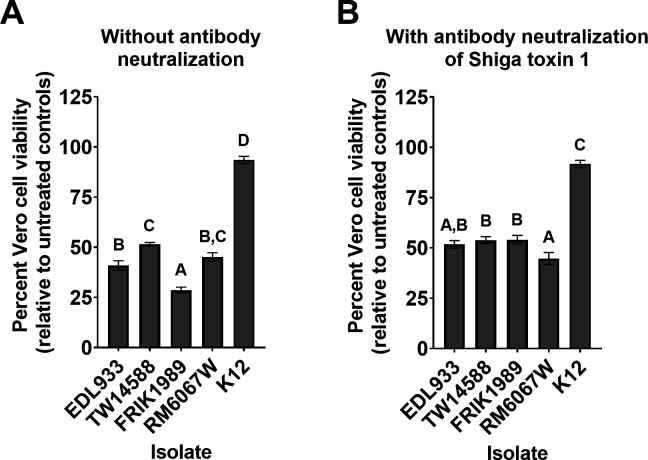 Bar graphs compare Vero cell viability percentages for different E. coli isolate supernatants with and without neutralization of Shiga toxin 1, depicting significant variation in cell viability across isolates.