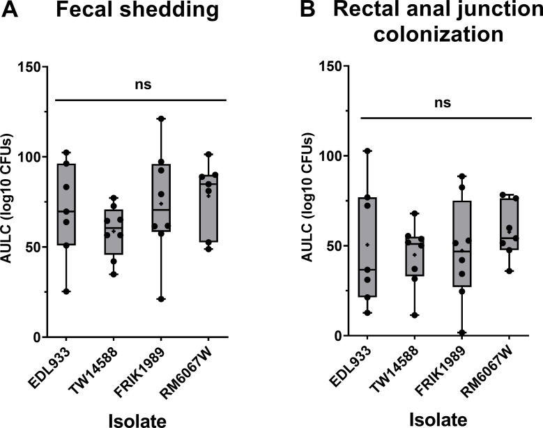 Box plots comparing fecal shedding and rectal–anal junction colonization of different isolates, depicting the Area Under the Log Curve (CFU) for each isolate with no significant differences observed.