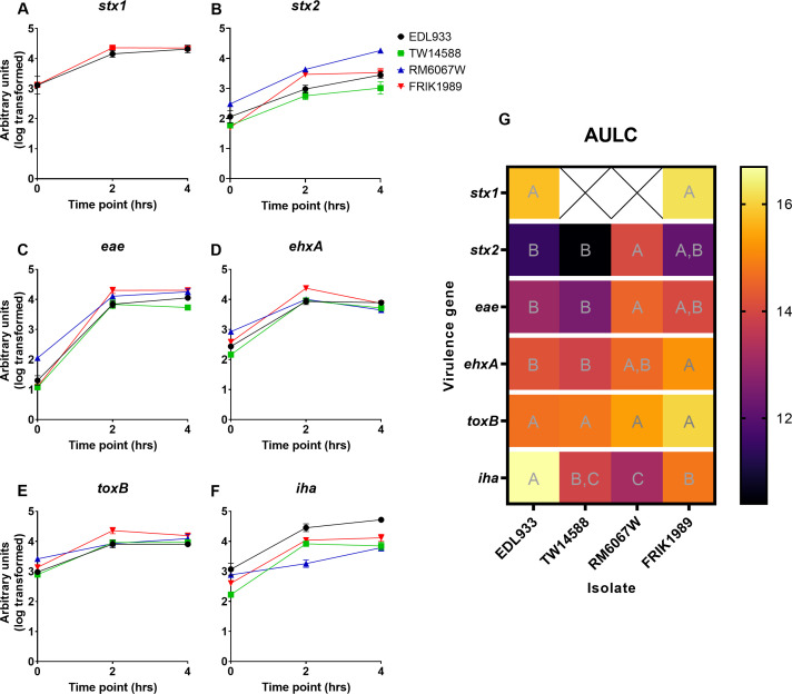 Line graphs depict expression levels of six virulence genes in four E. coli isolates over 4 h, alongside heatmap summarizing the area under the log-transformed curve with statistical groupings.