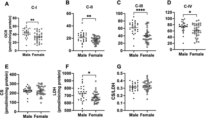 Fig. 3: