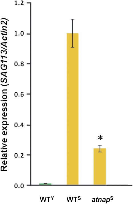 Figure 3.