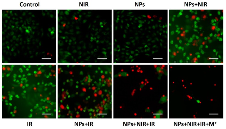 Figure 6