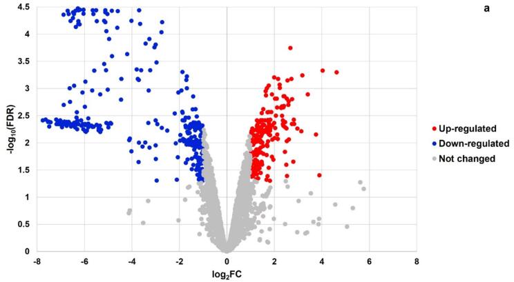 Fig. 1a