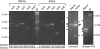 FIG. 5.