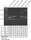 FIG. 7.