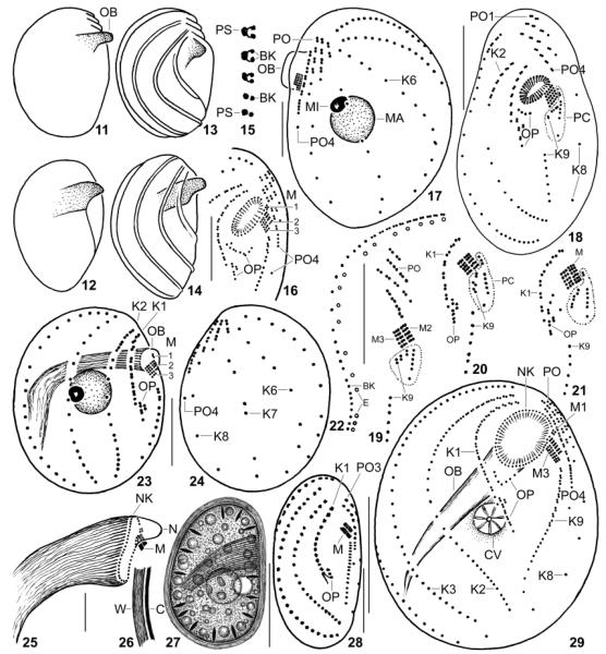 Fig. 11–29